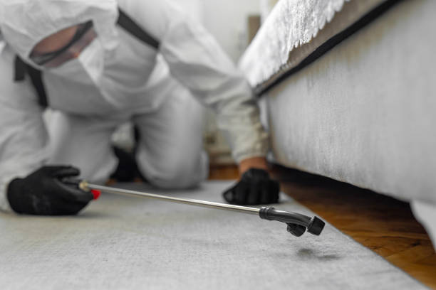 Professional Pest Control technician working in Iosco County County, MI